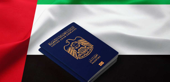 What Types of UAE Entry Visas Are Best for Turkish Business Visitors?
